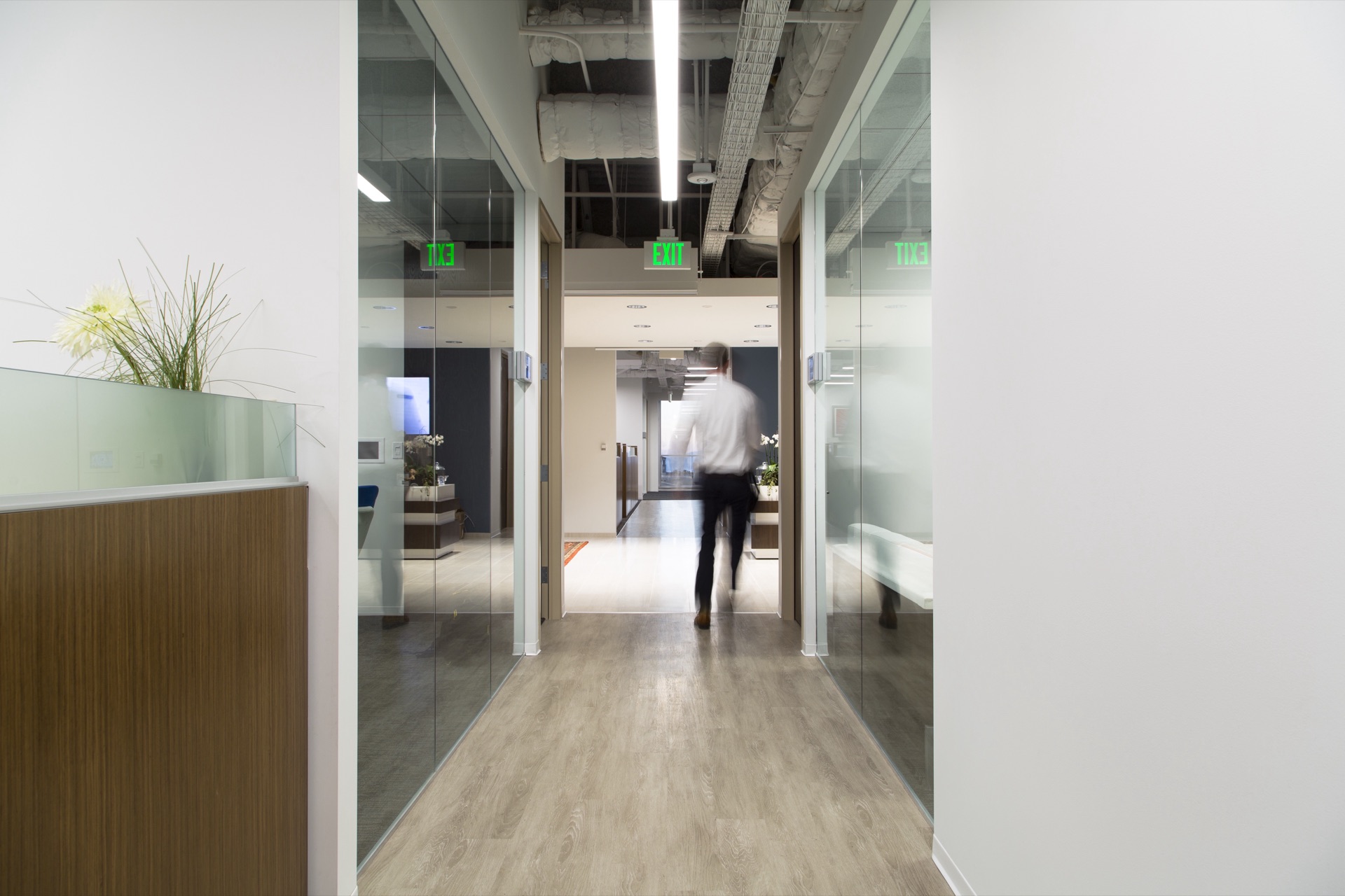 IPORT installation in a hallway showing integrated mounting and network infrastructure
